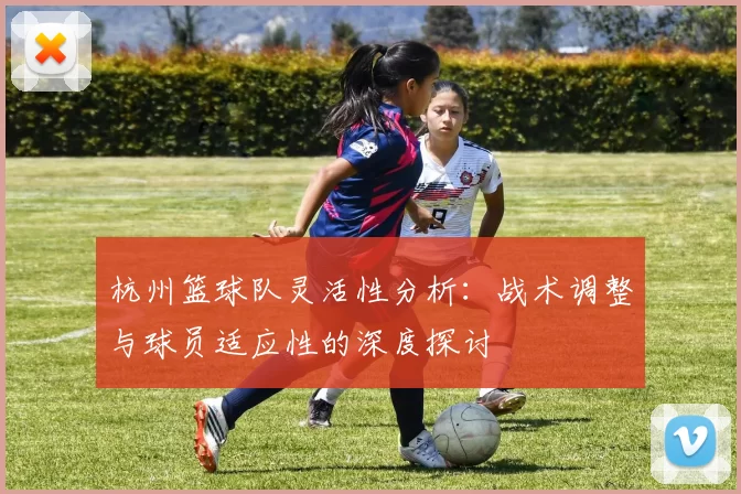 杭州篮球队灵活性分析：战术调整与球员适应性的深度探讨