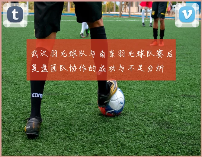 武汉羽毛球队与南京羽毛球队赛后复盘团队协作的成功与不足分析