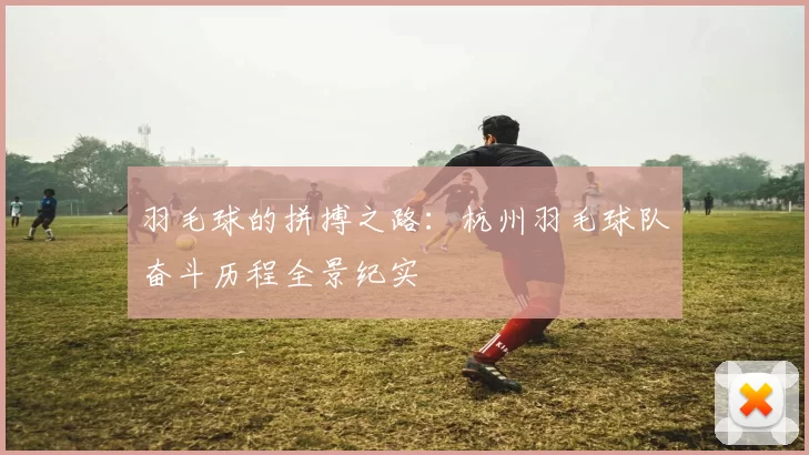 羽毛球的拼搏之路：杭州羽毛球队奋斗历程全景纪实