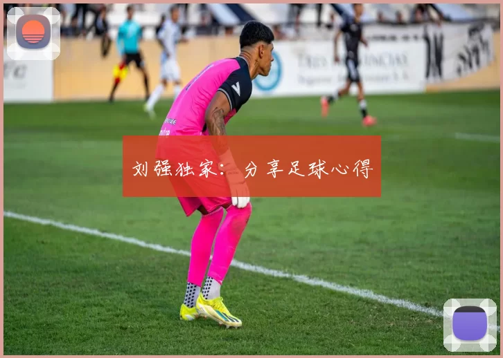刘强独家：分享足球心得