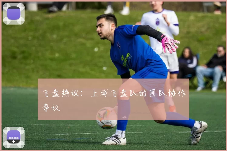 飞盘热议：上海飞盘队的团队协作争议