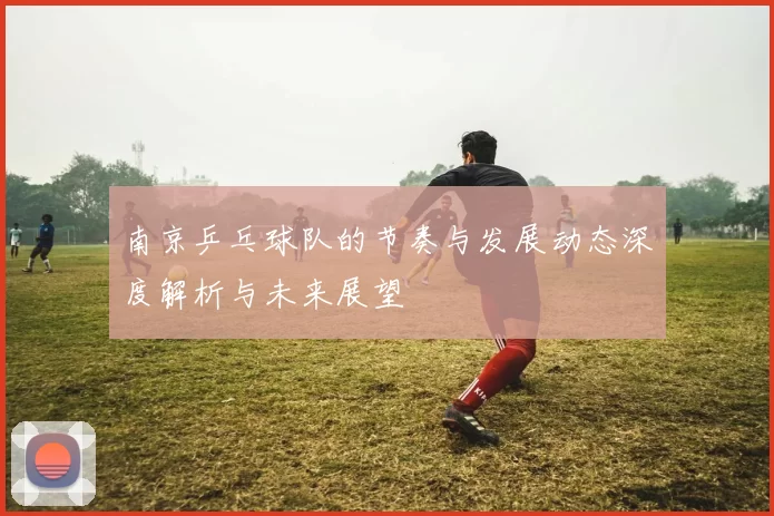 南京乒乓球队的节奏与发展动态深度解析与未来展望