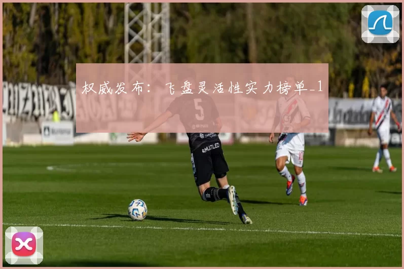 权威发布：飞盘灵活性实力榜单_1