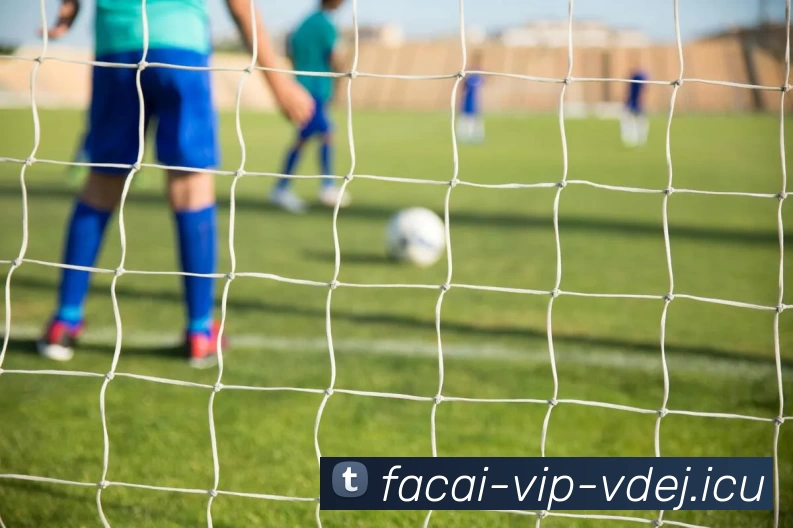 开云体育品牌故事