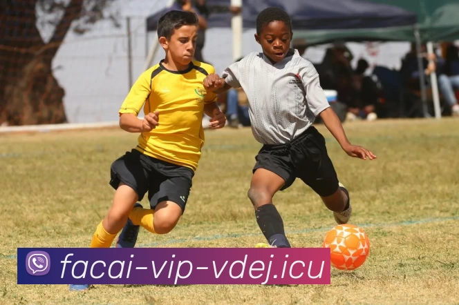 开云体育服务体系